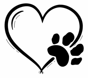 Jahresabo - Anzeige auf der Startseite