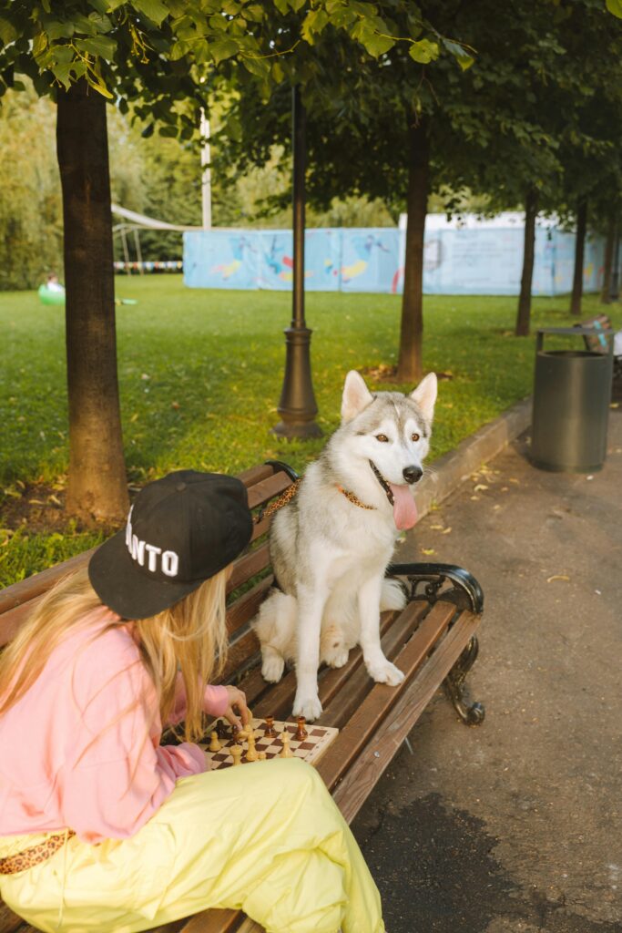 A woman and her Siberian husky playing chess on a park bench on a sunny day.